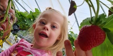 Fresh fruit picking is found all over Sydney 
Strawberry picking 
Pack and Dash Travel recommends
