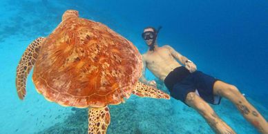 A snorkeler swims alongside a large sea turtle in clear blue water.freediving certification