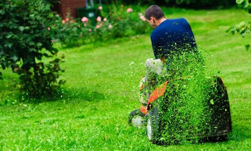 A man cutting grass on Machine