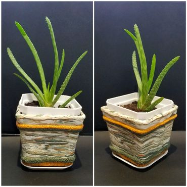 fpot mix14
gold rimmed greeny grey