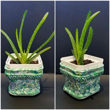 fpot mix8
Greeny blue/white