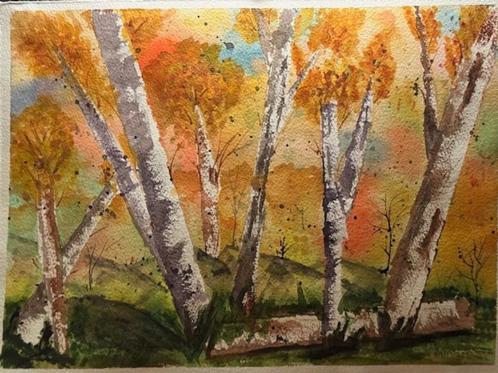 Aspen trees in Vail Colorado Fall 2025