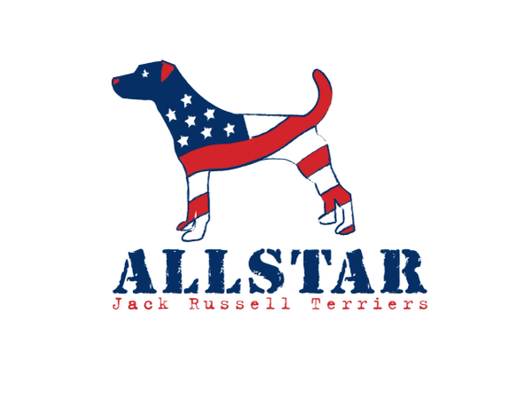 Logo of a Jack Russell Terrier with American flag colors.