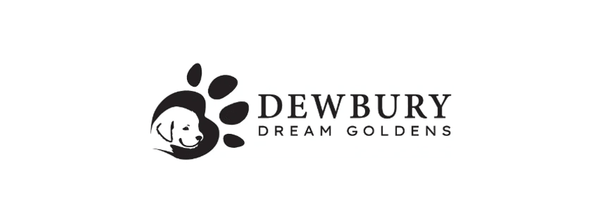 Dewbury Dream Goldens