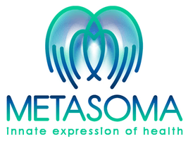 Metasoma