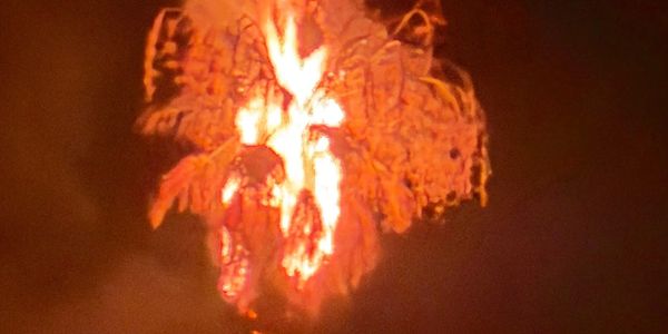 A large fire engulfing a tree at night.