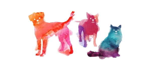 dog walking cat care pet sitting overnight stay pet sitter