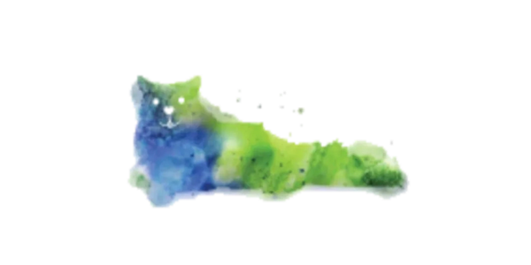 watercolor cat, cat sitting