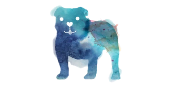 watercolor bulldog, pet care
