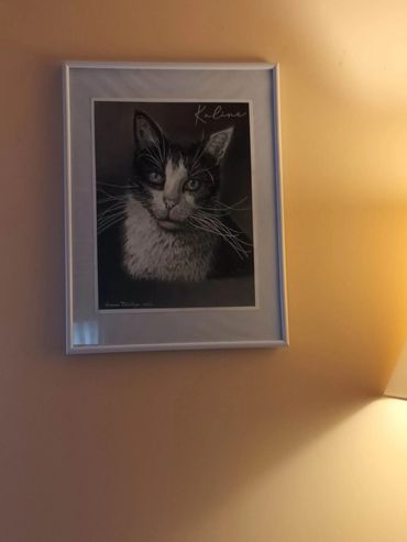 Portrait de la petite chatte Kaline