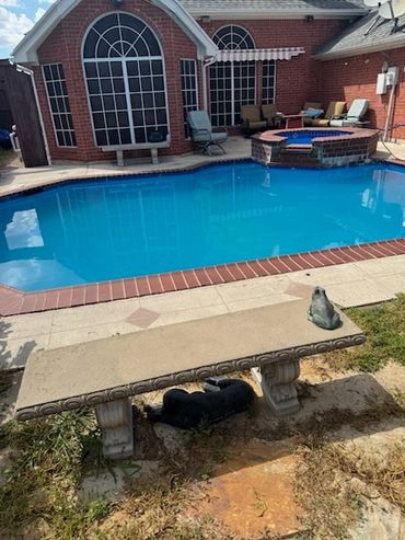 A backyard pool with a bench and a dog resting underneath it.