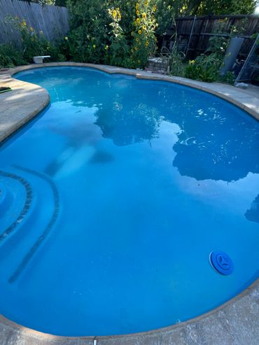 A clean backyard swimming pool surrounded by flowers and a wooden fence.