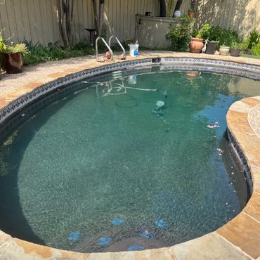 A clear backyard swimming pool with stone edges and surrounding plants.