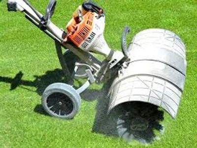 stihl mm55 power brush for artifical grass