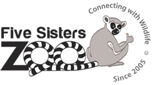 Five sisters Zoo