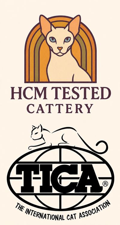 Logo with cat illustration and text about HCM tested cattery and TICA.