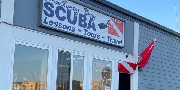 Working with dive shops to photograph large groups on dive days!