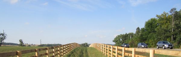 Traffic Stopping Horse Fence!