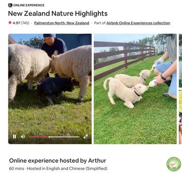 Arthur shows online experience visitors around his lifestyle farm in the North Island of New Zealand