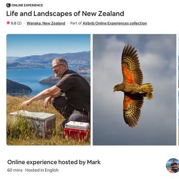 Mark from Ridgeline Adventures shows online experience guests around his farm in the wanaka region.