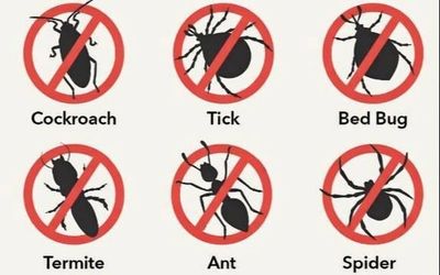 No pests allowed signs for six common insects.