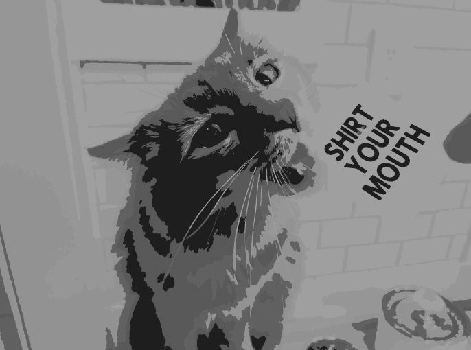 image2060