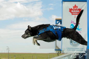 learning to jump, yes you can wear a lifejacket