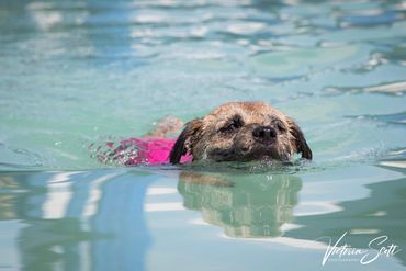 Wilson, she loves the water