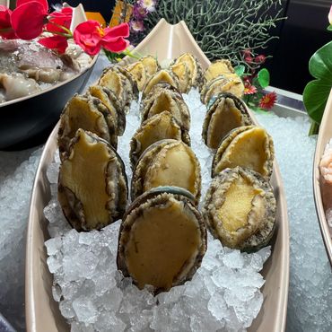 Rows of fresh raw abalone arranged on a bed of crushed ice.