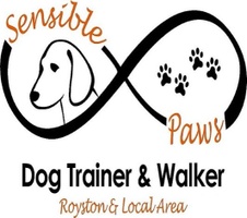 Sensible Paws Dog Training / Walking