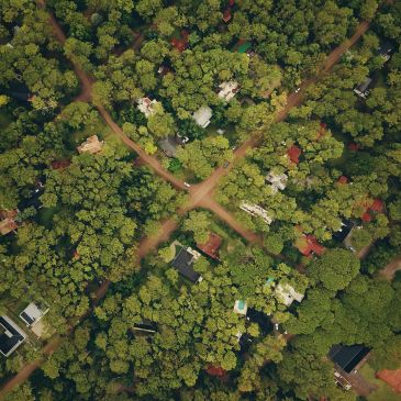 Aerial view of a wooded residential area with intersecting dirt roads.