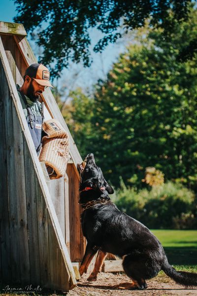 helper in a blind with a dog barking