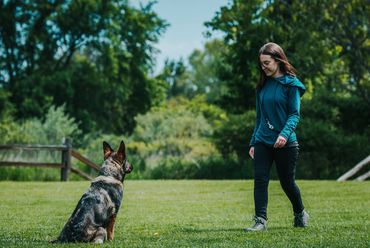 owner and a dog in a field