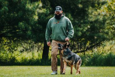 german shepherd with owner heeling