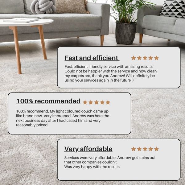 Reviews of satisfied customers who have used Warwick Carpet Shampoo.