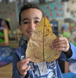 A small boy holding a big leaf