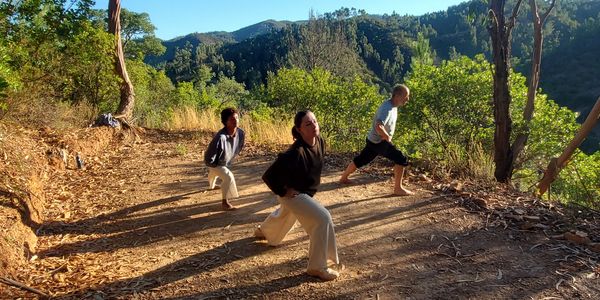 Three people practicing yoga outdoors in a forest clearing.