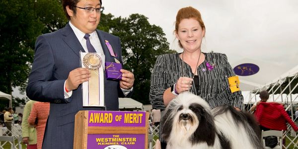 GCHB Luv Bug's Baby I'm Howlin For You