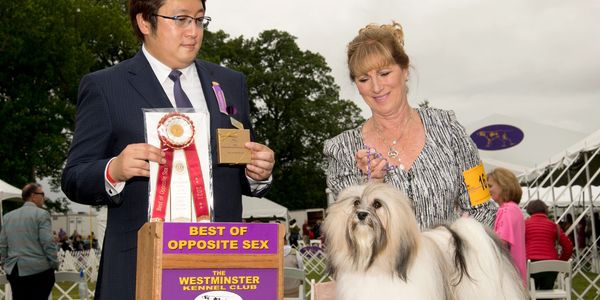 GCH Luv Bug's Chanel Number Five