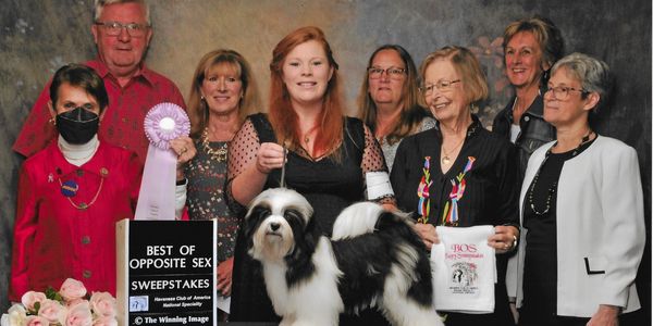 "Gunner" Bristolwood n Luv Bug's Hot Shot 
Best Opposite in Sweeps