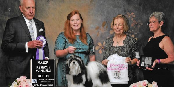 Luv Bug n Cassimere Queen of Impression 
Winners Bitch 2021 Regional 
Reserve Bitch at 2021 National