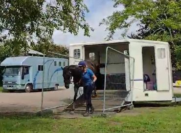 horse trailer loading with partitions