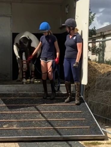 horse loading training