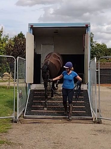 horse loading planning for success