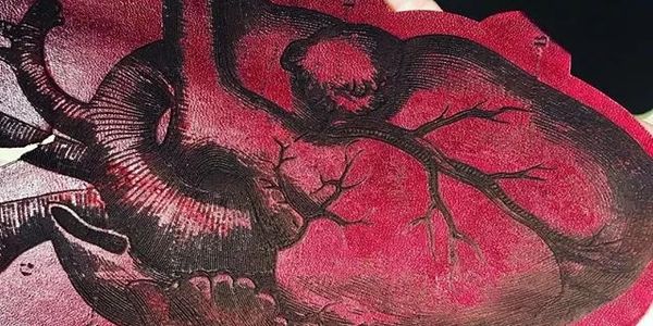 Leather engraving and cut