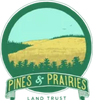 PINEE & PARIS