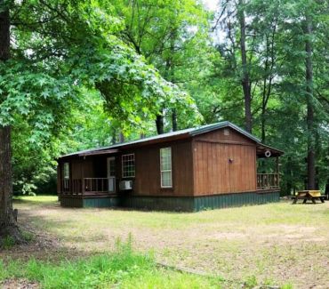 A rustic brown cabin surrounded by lush green trees in a forest clearing.