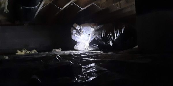 "Crawlspace insulation services for all seasons"
 "Expert Crawlspace Insulation Services"