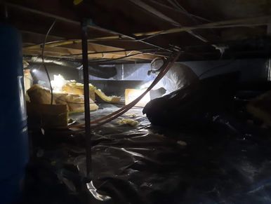"Crawlspace insulation services for all seasons"
 "Expert Crawlspace Insulation Services"