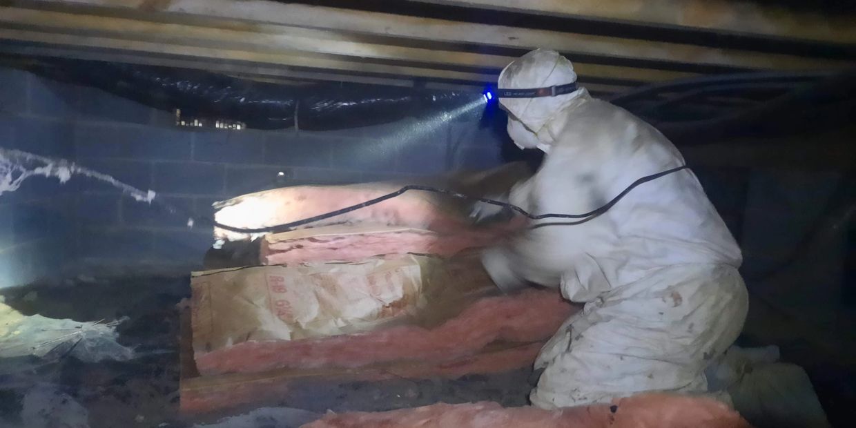 "Crawlspace insulation services for all seasons"
 "Expert Crawlspace Insulation Services"